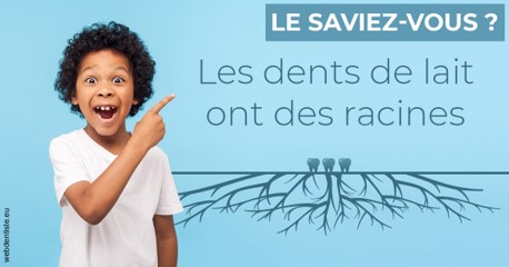 https://dr-trin-yves.chirurgiens-dentistes.fr/Les dents de lait 2