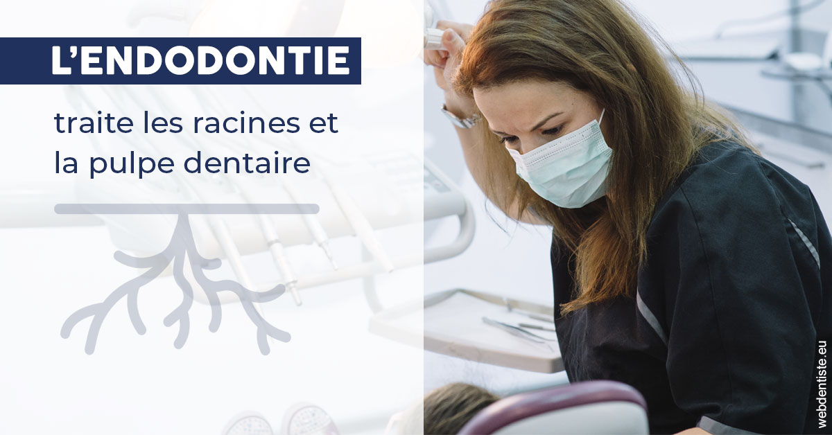 https://dr-trin-yves.chirurgiens-dentistes.fr/L'endodontie 1