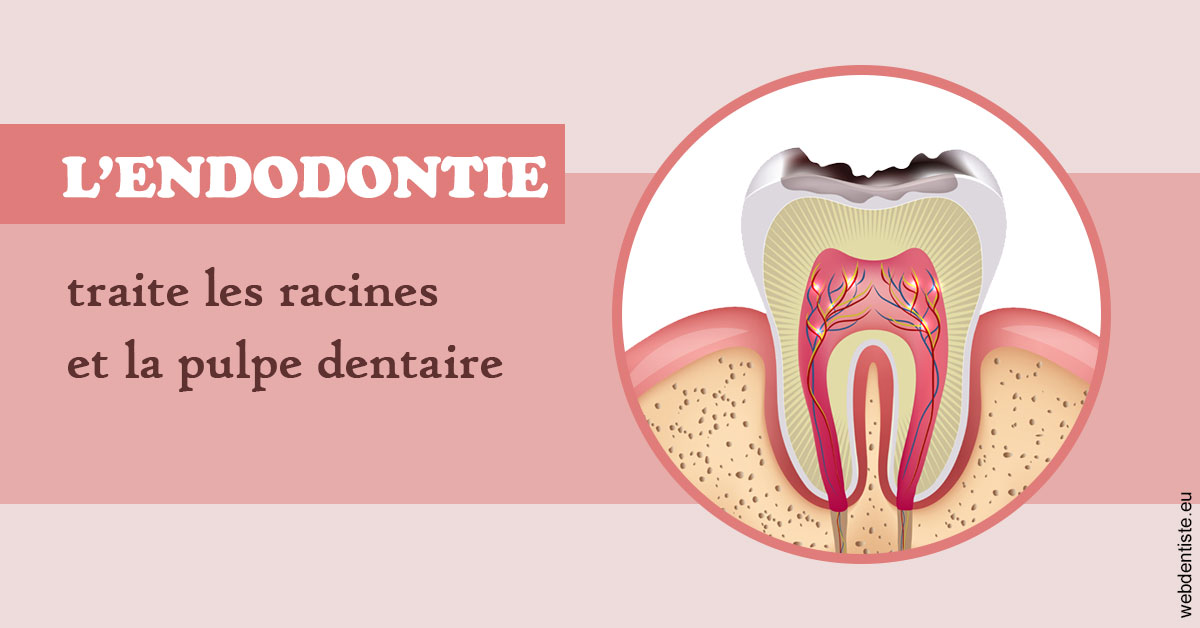 https://dr-trin-yves.chirurgiens-dentistes.fr/L'endodontie 2
