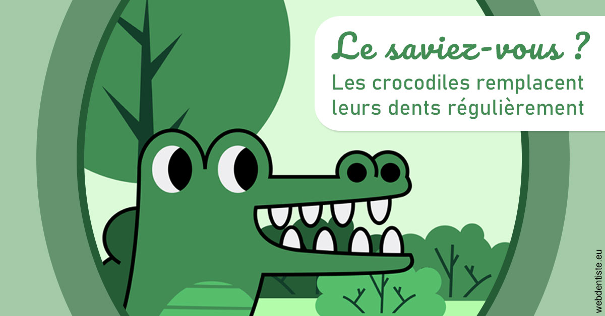 https://dr-trin-yves.chirurgiens-dentistes.fr/Crocodiles 2